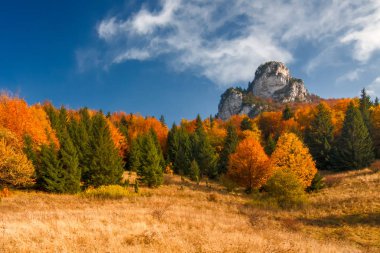 Sonbahar manzara mavi gökyüzü ile puffs.