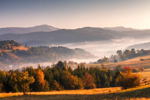 Paesaggio autunnale durante la mattina nebbiosa . — Foto Stock