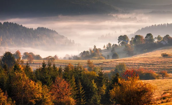 Paesaggio autunnale durante la mattina nebbiosa . — Foto Stock