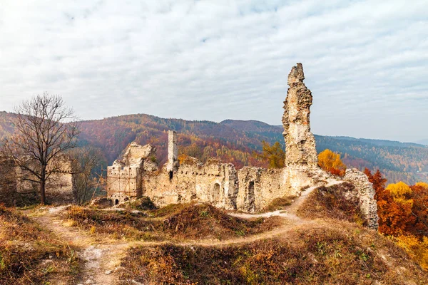 Sonbahar yatay, Povazsky kalesi kalıntıları, Slovakya, Europe.