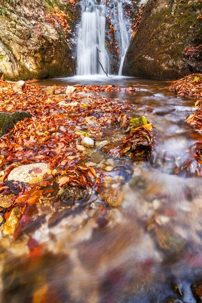 Vízesés a patak őszi erdőben, Mala-Fátra Nemzeti park. — Stock Fotó