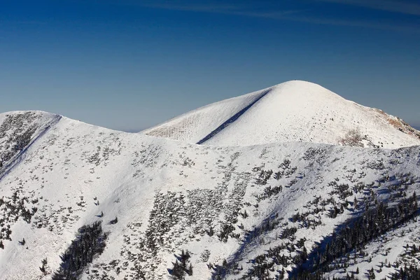 Tepelerin görünümünü karlı manzara.