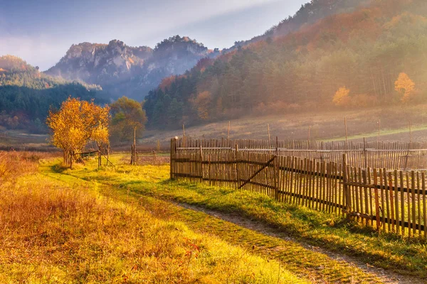 Dağlık manzara sonbahar renkleri.