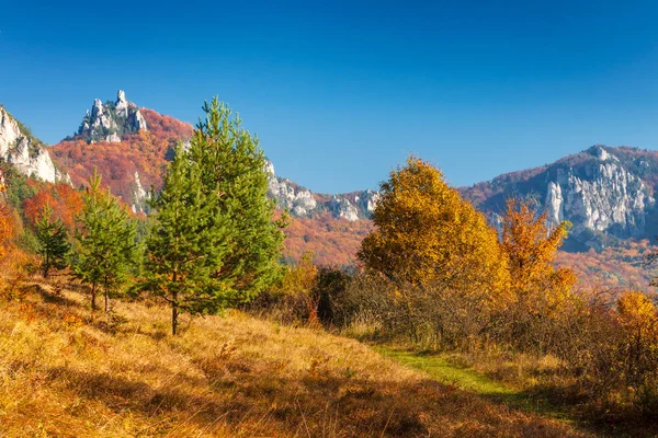 Sonbahar renkli manzarada.