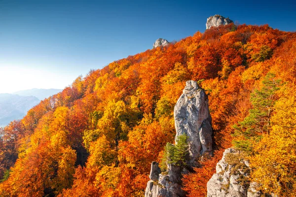 Colorful landscape in autumn. — Stock Photo, Image