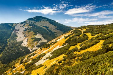 Ulusal parkta Mala Fatra dağlık manzara.