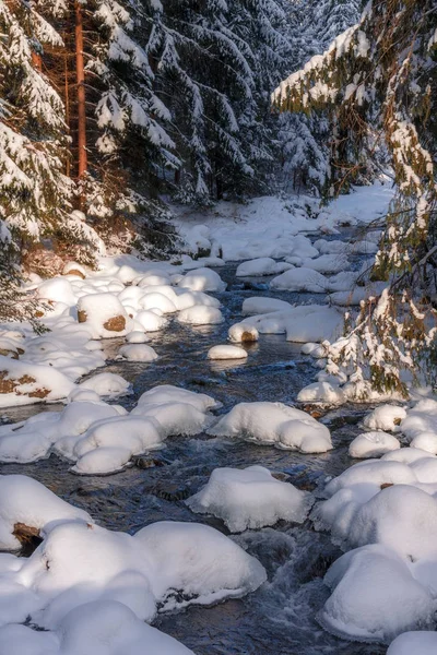 O riacho nevado . — Fotografia de Stock