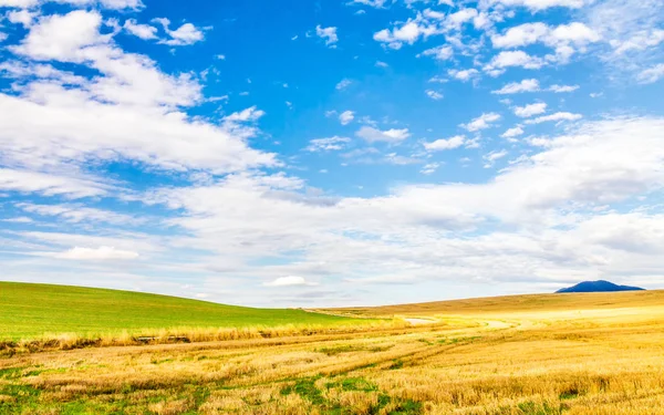 Paisaje rural con campos . — Foto de Stock