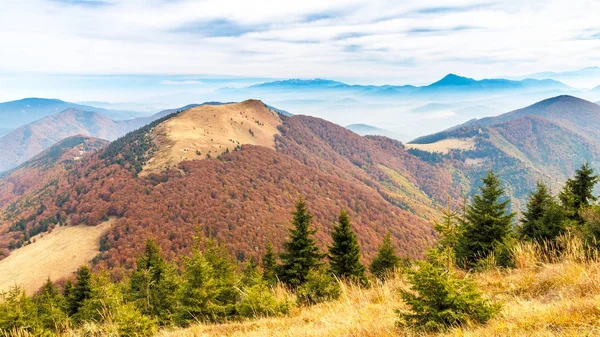 在斯洛伐克的山风景. — 图库照片