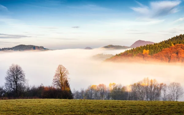 Ranní mlha špinit údolí. — Stock fotografie