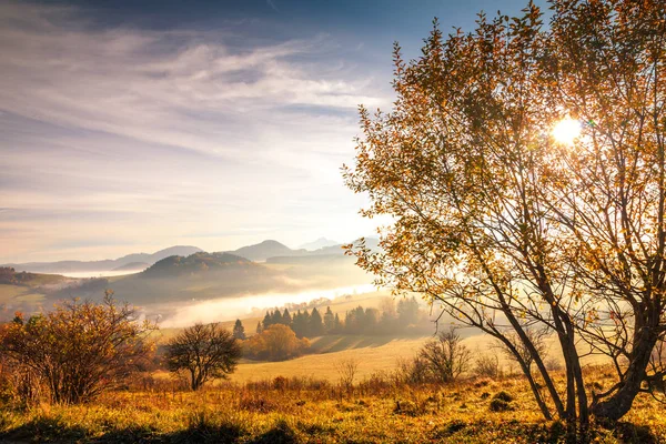 Paesaggio montano in autunno. — Foto Stock
