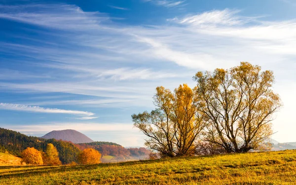 Autunno paesaggio montagnoso . — Foto Stock