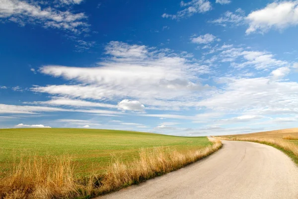 Sunny rural landscape. Stock Picture