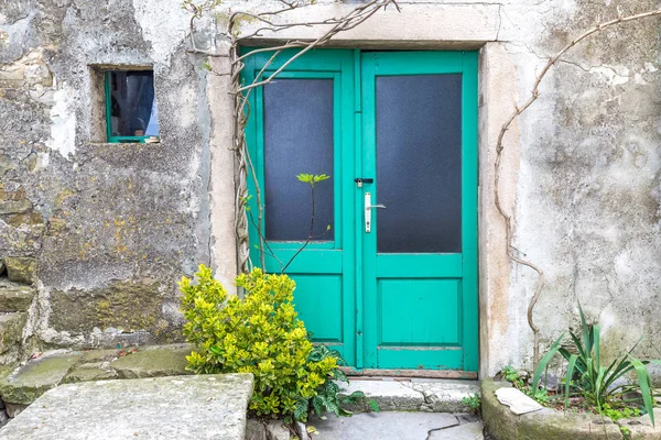 Grüne Eingangstür. — Stockfoto