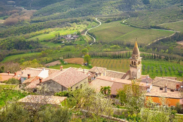 Vieille ville méditerranéenne Motovun . — Photo