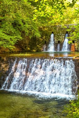 Yapraklı orman içinde bir nehir üzerinde yapay weir.