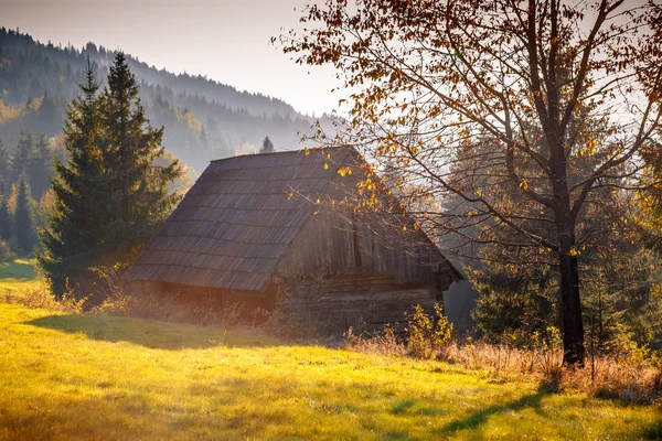 Oude houten hut. — Stockfoto