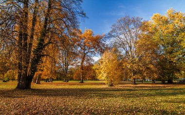 sonbahar castle park yakınındaki Budatin tarafından Zilina, Slovakya