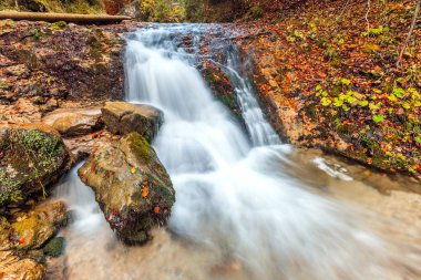 Sonbahar ormanında dere.