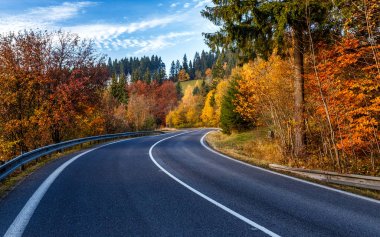 Orman yoluyla yol açın.