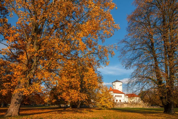 Jesienny krajobraz, park zamek Budatin pobliżu Żylina, Słowacja. — Zdjęcie stockowe