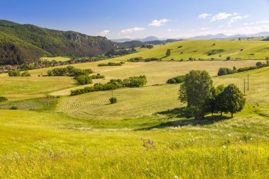 Ülke manzara Kuzey Slovakya.