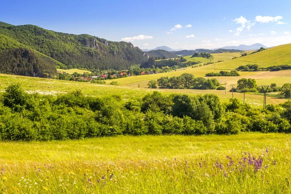 Ország táj Szlovákiában. — Stock Fotó