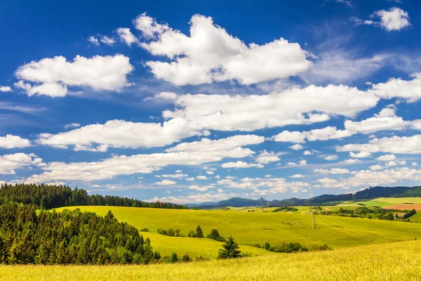 Rural landscape in spring season.