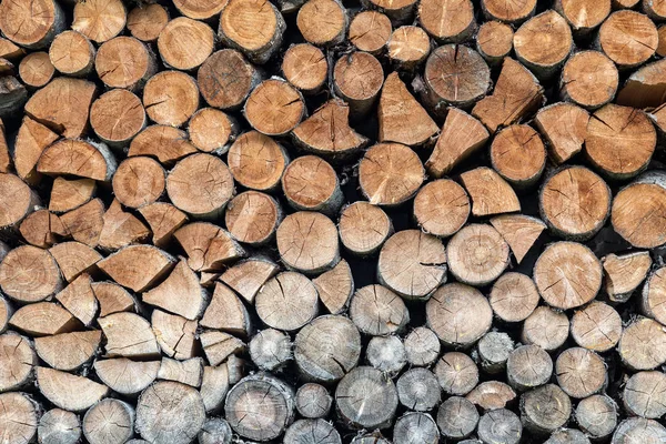 Stored wood. — Stock Photo, Image