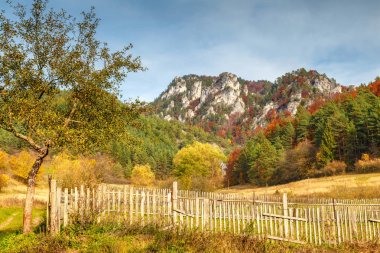 Sonbahar yatay, Sulov kayalarda.