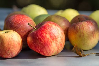 Bahçedeki bir masada elmalar.