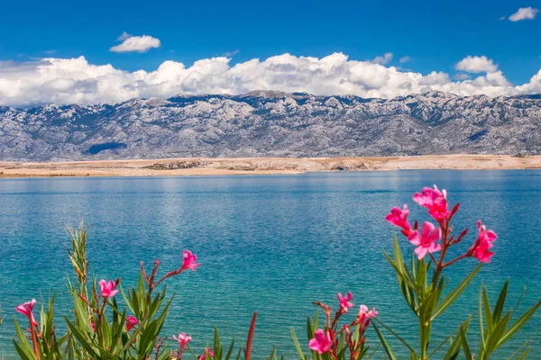 El paisaje con la bahía del mar debajo de las montañas . — Foto de Stock