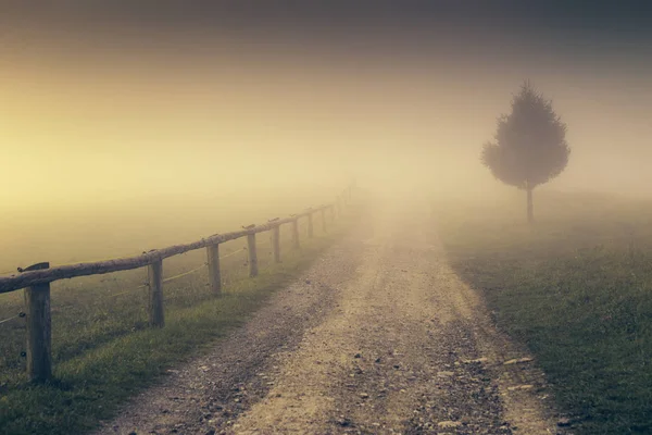 Paisagem na Névoa. — Fotografia de Stock