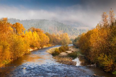 Sisli sabah nehirde, sonbahar yatay.