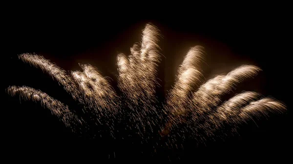 Feuerwerk auf dunklem Hintergrund. — Stockfoto