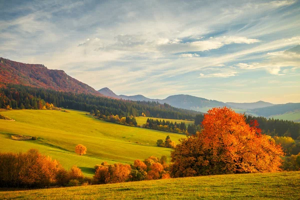 Színes őszi táj, — Stock Fotó