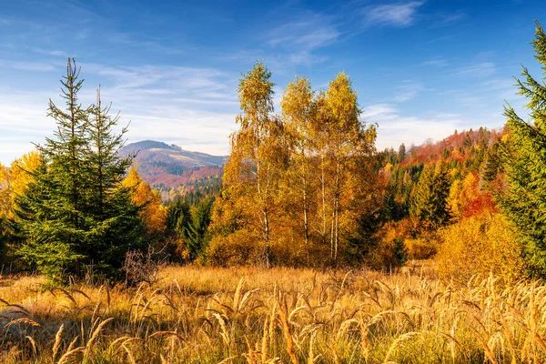 Paesaggio colorato in autunno . — Foto Stock