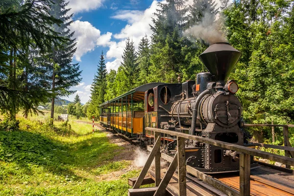 森林鉄道の蒸気機関車. — ストック写真