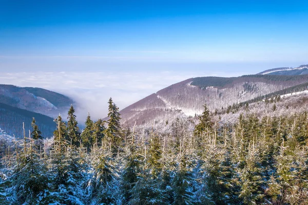 Paysage de montagne d'hiver avec brouillard dans la vallée, Pustevny . — Photo