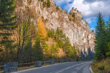 Bir dağ manzarası Vratna Valley Road.