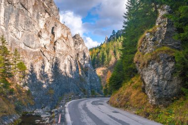 Bir dağ manzarası Vratna Valley Road.