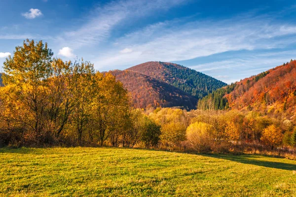 スロバキア紅葉を風景します。. — ストック写真