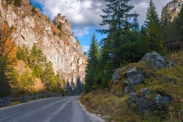 Bir dağ manzarası Vratna Valley Road.