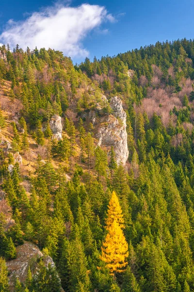 Mountain landscape in autumn season.