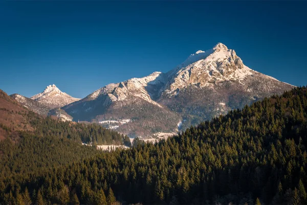 Paisaje de montaña en invierno . —  Fotos de Stock