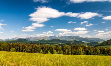 Bahar zamanı, Milli Parkı Mala Fatra dağ manzarası.