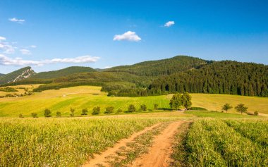 Alanlar ve çayırlar kırsal manzara Bahar, dağlar.
