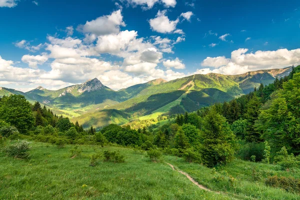 マラ Fatra 国立公園、春に山の風景. — ストック写真