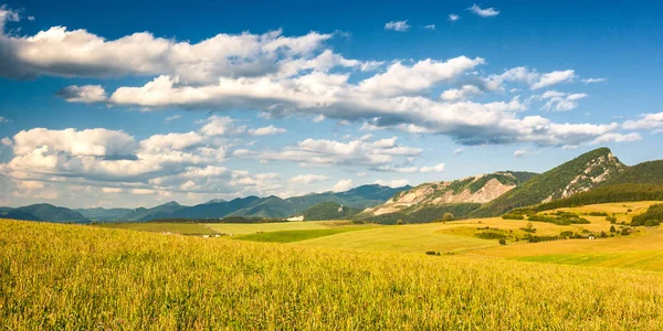 Mezők és rétek, hegyek, tavasszal vidéki táj. — Stock Fotó