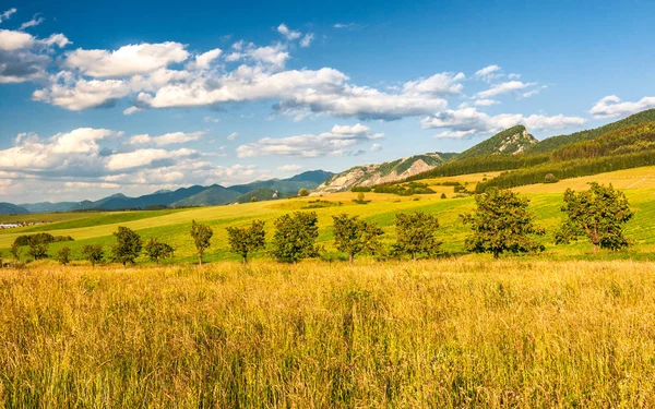 Mezők és rétek, hegyek, tavasszal vidéki táj. — Stock Fotó